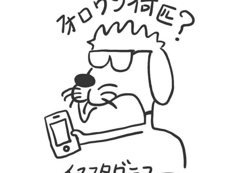 KAZUMA的INS有多少粉丝？