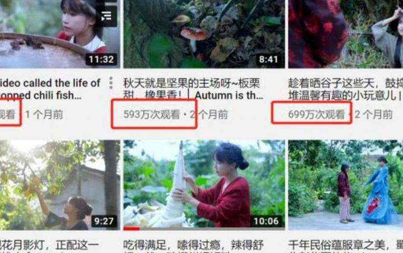 Ohm在INS上的粉丝数量分析
